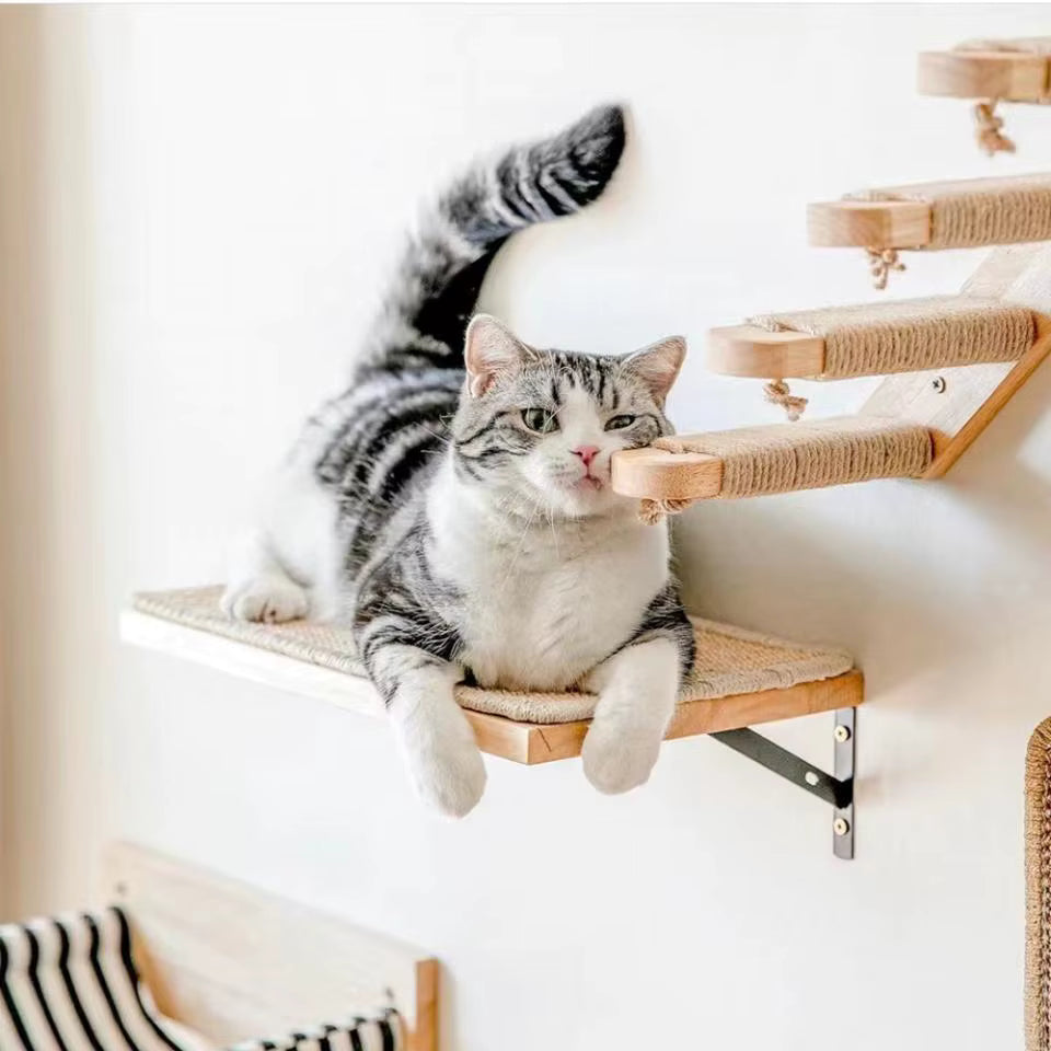 katzen-kletterwand-treppe-mit-katze