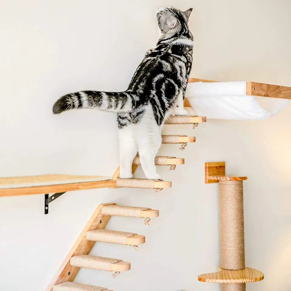 katzen-kletterwand-treppe-wohnzimmer