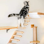 katzen-kletterwand-treppe-wohnzimmer