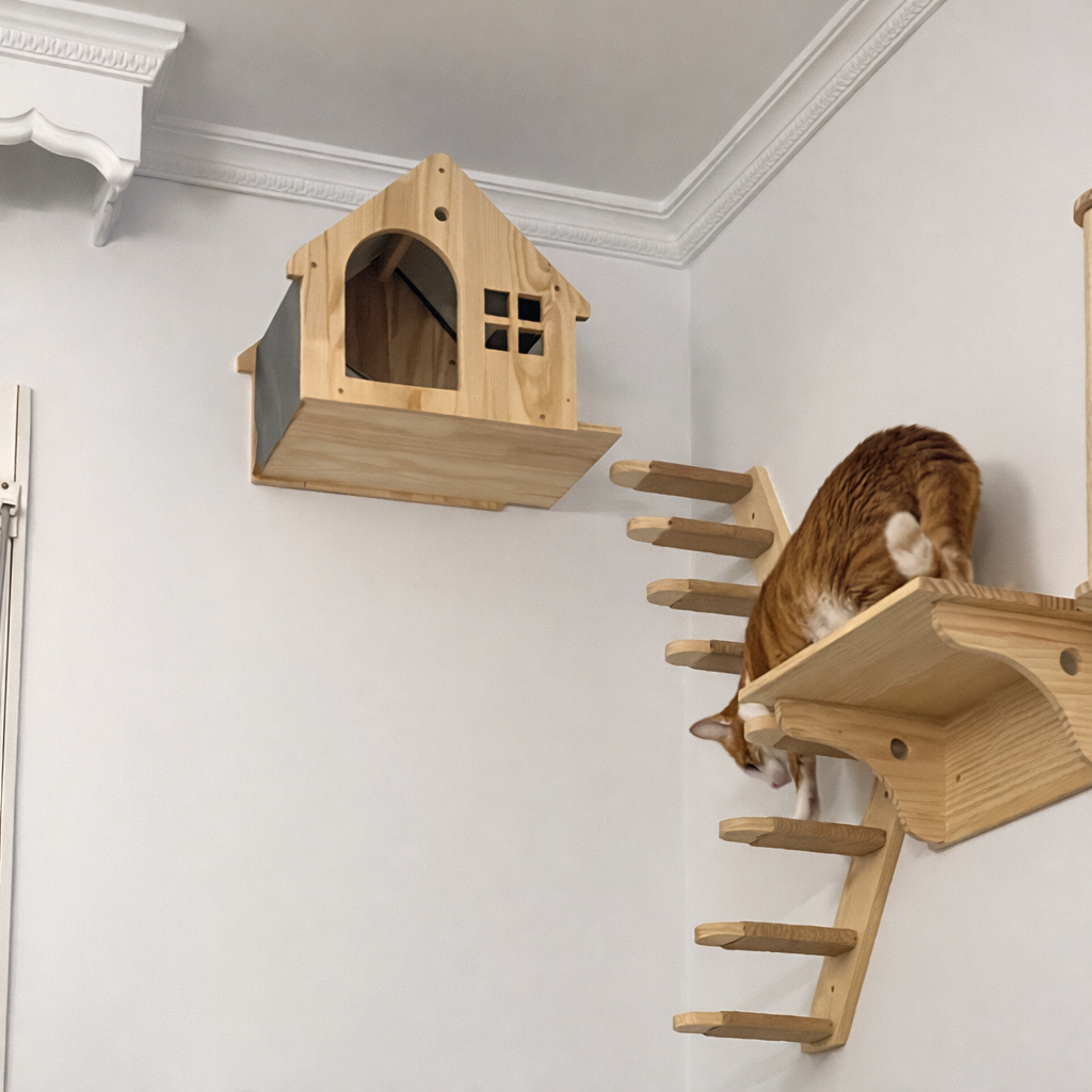 katzen-kletterwand-wandhaus-hausform-wohnambiente