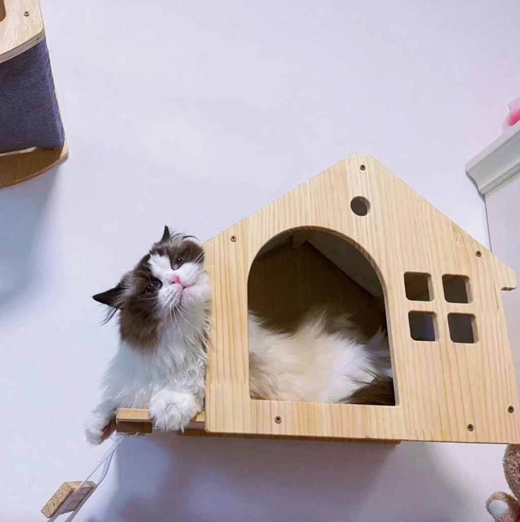 katzen-kletterwand-wandhaus-katzenausschnitt-mit-katze-2