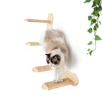 katzen-kletterwand-wandtreppe-zweiteilig-vierstufig-mit-katze-produktfoto-02