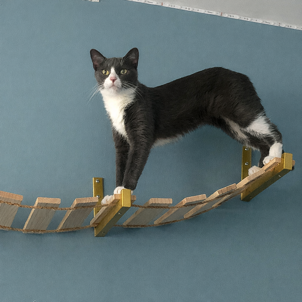 katzen-wandparkour-haengebruecke-holz-35cm-mit-katze-wohnambiente
