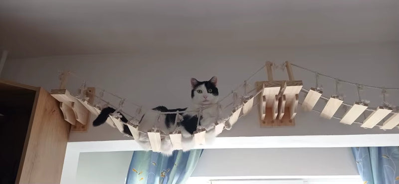 katzen-wandparkour-haengebruecken-idee
