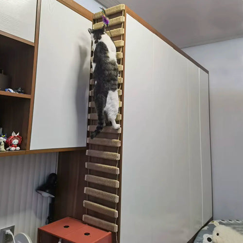 100 X 25cm Medium Ladder Scratcher