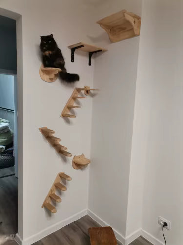 katzenwand-idee-hohe-wand