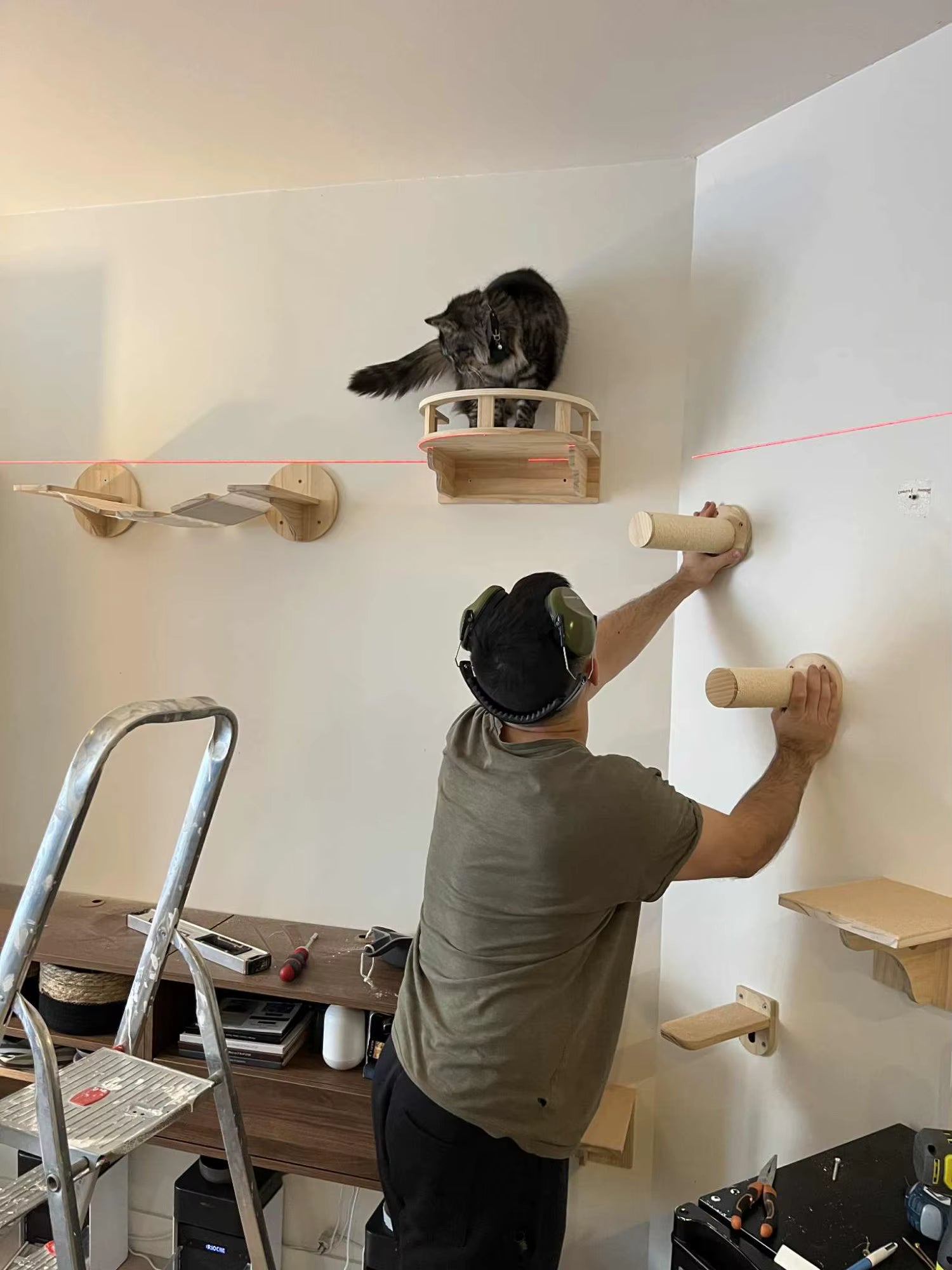 katzenwand selber machen