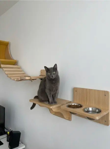 How others used this set: 1
