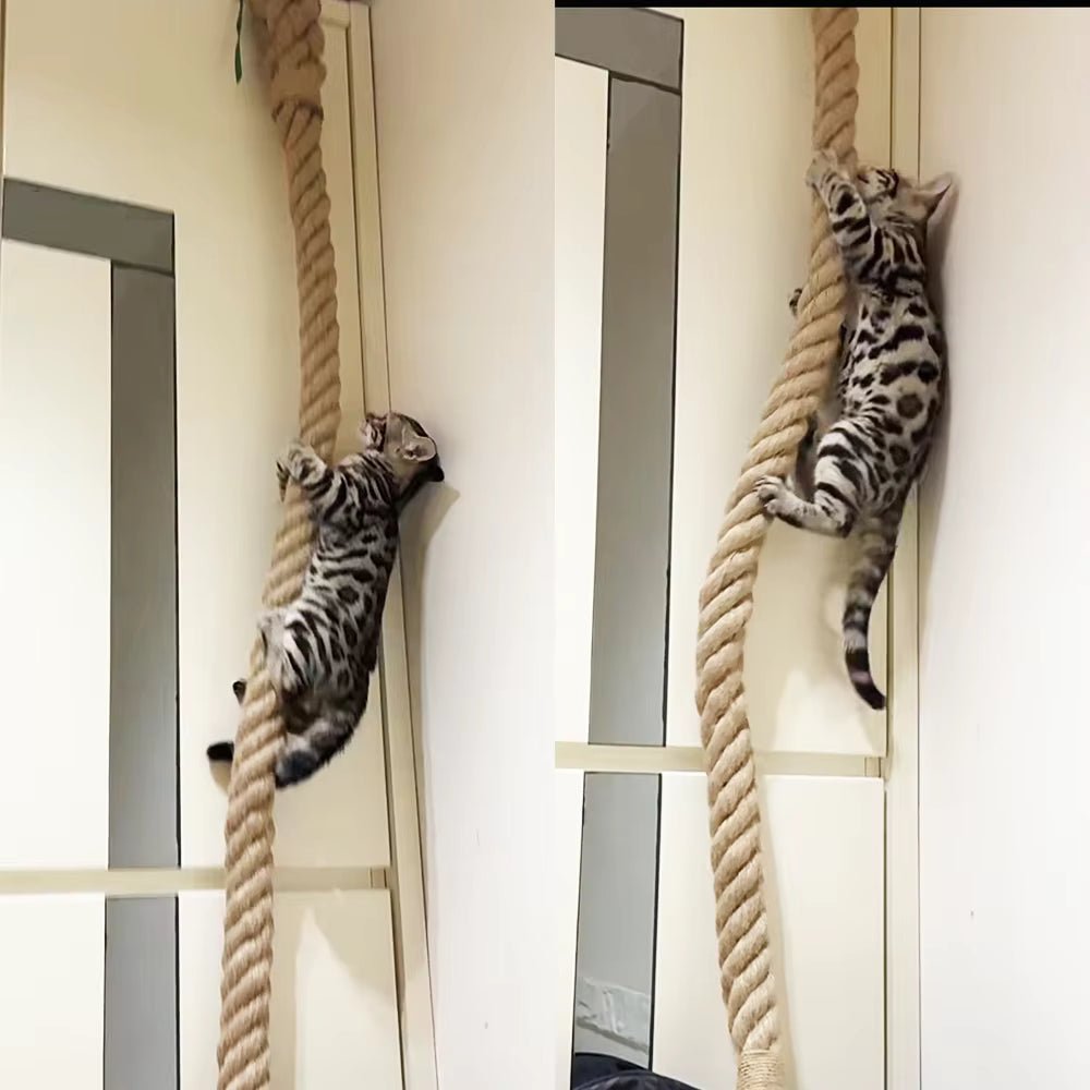 Long Knot Rope - Sweetypaws Catwall Elements - Sweetypaws.com