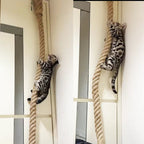 Long Knot Rope - Sweetypaws Catwall Elements - Sweetypaws.com