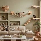 Multi-Cat Harmony Bundle – Cat Wall Set for Multiple Cats - Sweetypaws.com