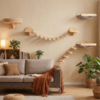 Multi-Cat Harmony Bundle – Cat Wall Set for Multiple Cats - Sweetypaws.com