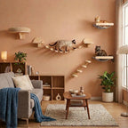 Multi-Cat Harmony Bundle – Cat Wall Set for Multiple Cats - Sweetypaws.com