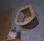Open Cat Cave - Sweetypaws Catwall Elements - Sweetypaws.com