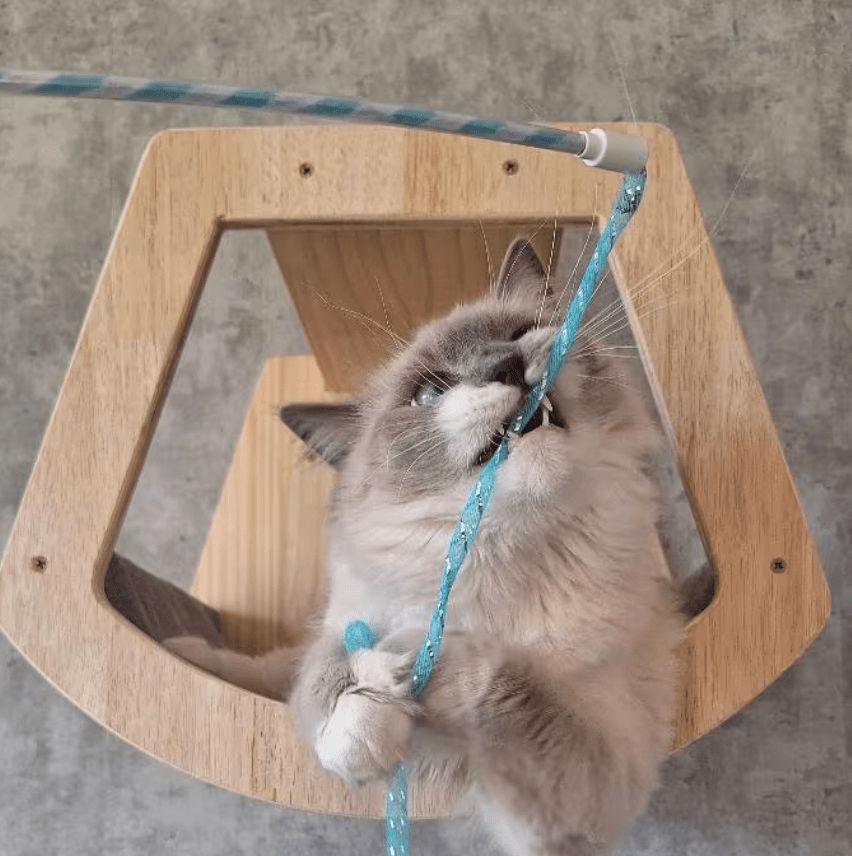 Open Cat Cave - Sweetypaws Catwall Elements - Sweetypaws.com