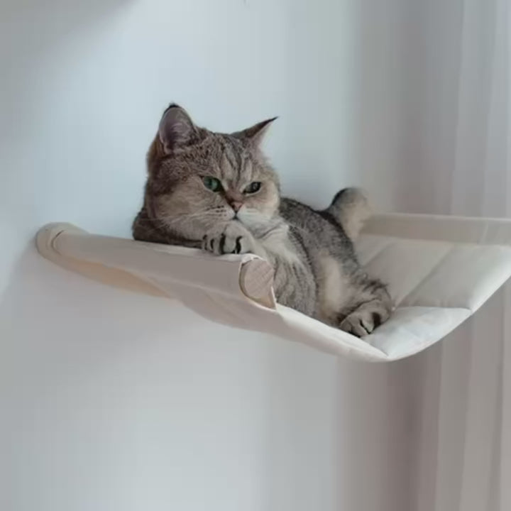 katzen-kletterwand-grosse-haengematte-mit-katze-video
