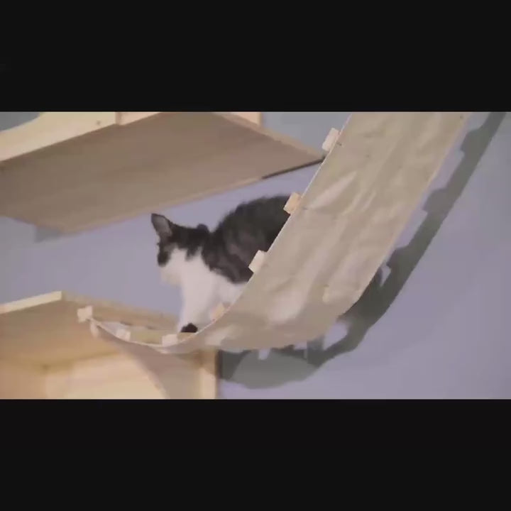 katzen-wandparkour-stoffhaengebruecke-kleines-katzenbaby-laeuft-drueber-video