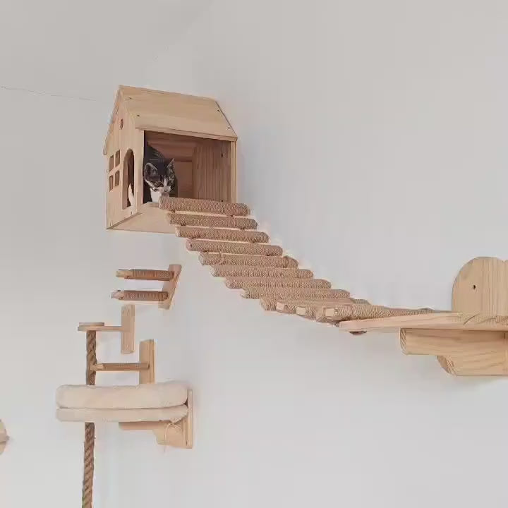 katzen-kletterwand-wandhaus-mit-haengebruecke-katze-laeuft-drueber-video