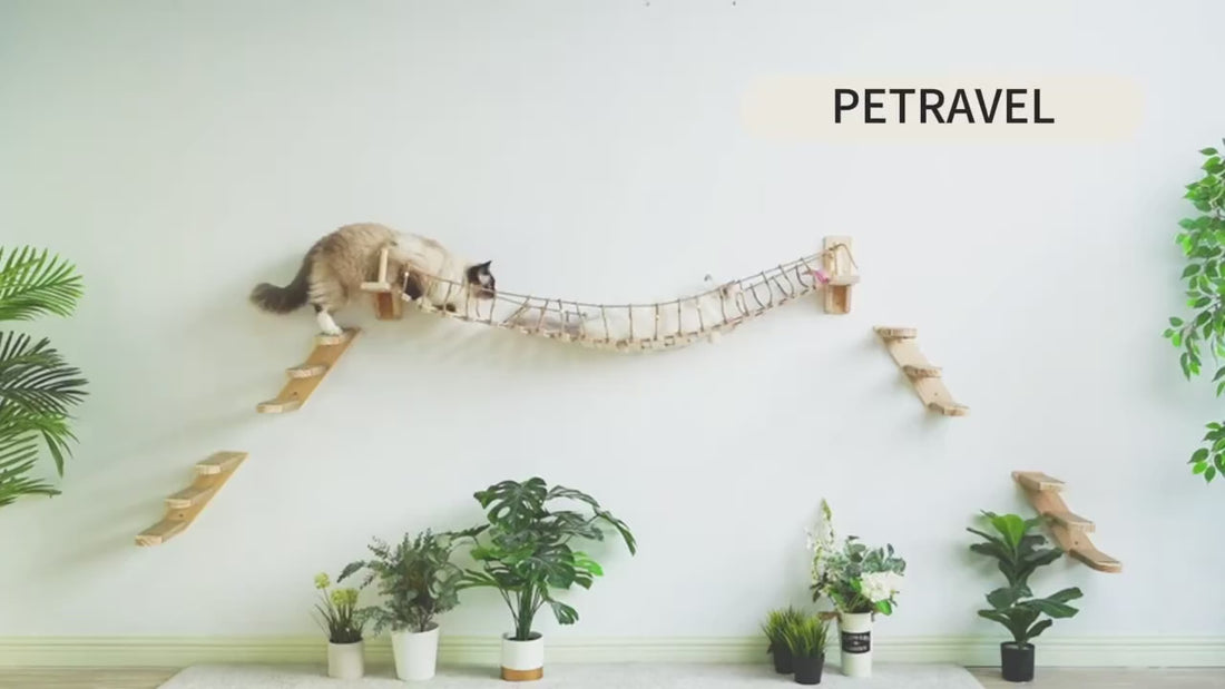 katzen-wandparkour-seilhaengebruecke-mit-katze-in-benutzung-video