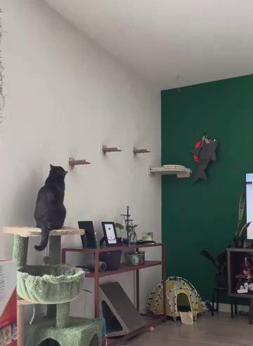 katzen-kletterwand-eckplattform-mit-katze-video