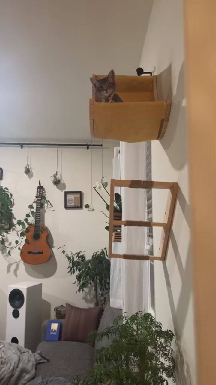 katzen-wandbett-halbmond-mit-katze-video