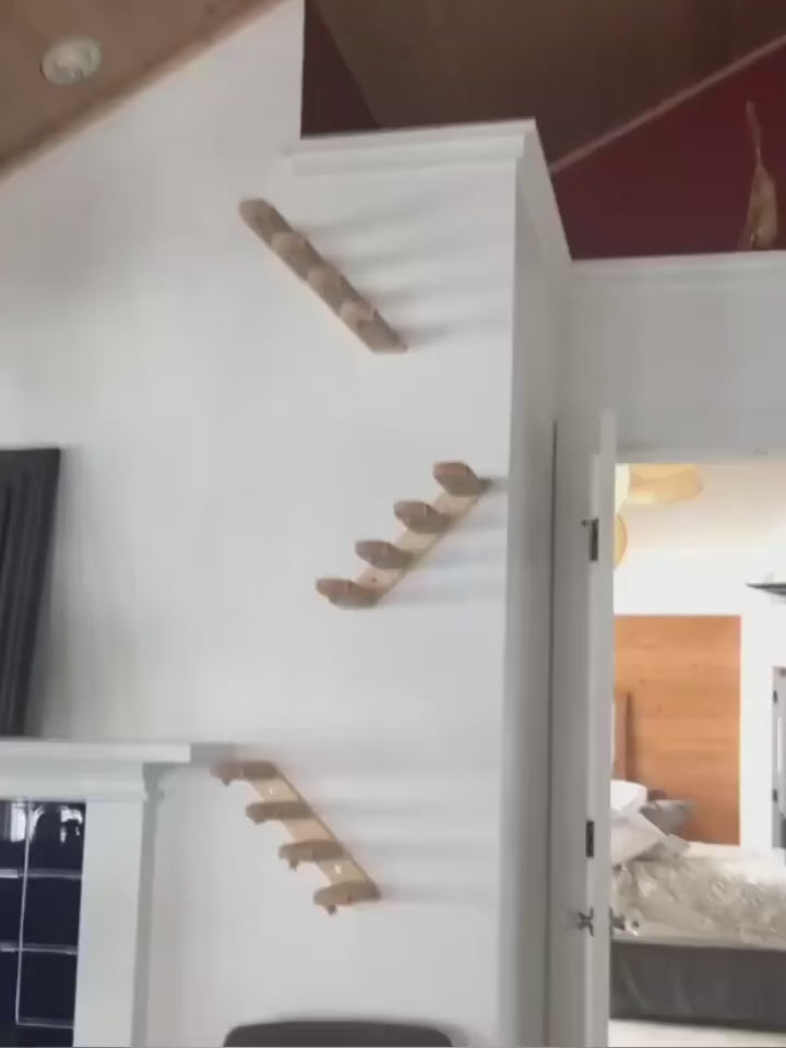 katzen-kletterwand-wandtreppe-katze-klettert-video