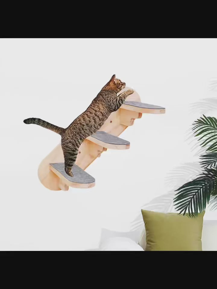 katzen-kletterwand-wandtreppe-stimmungsbilder-video