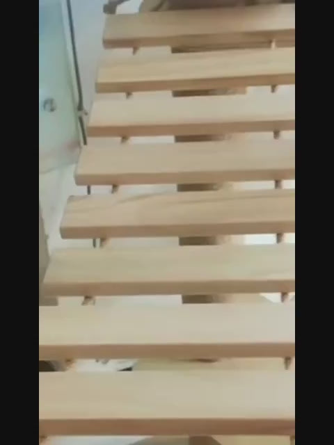 katzen-wandparkour-holzseilbruecke-mit-katze-video