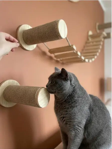 Robuste Katzenwand für kräftige Katzen mit Kletter- und Ruhebereichen