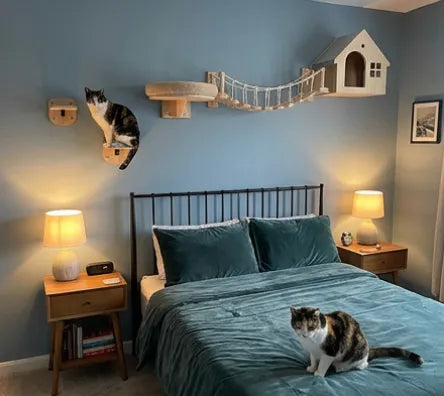 How others used this set: 1
