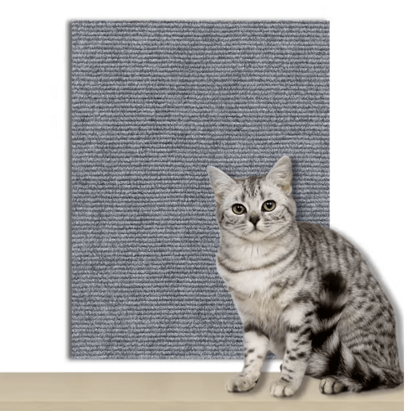 Self-adhesive wallmat - Scratch protection - Sweetypaws.com