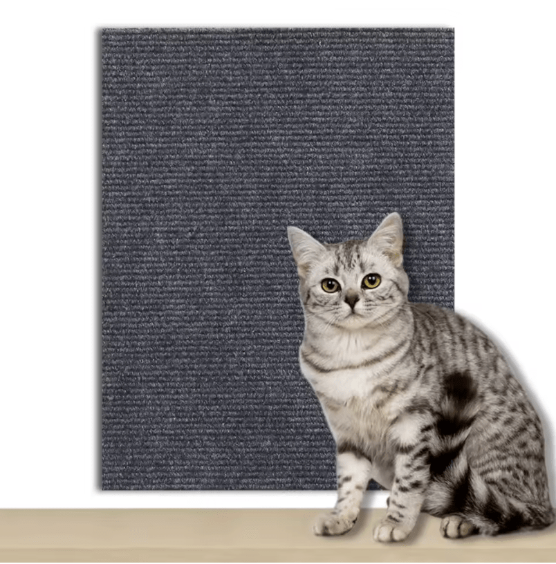 Self-adhesive wallmat - Scratch protection - Sweetypaws.com