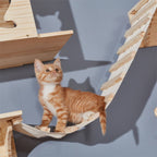 Station Ropebridge Catwall - Sweetypaws Catwall Elements - Sweetypaws.com