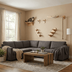 Vertical Climber Bundle – Cat Wall Set for Tall Walls - Sweetypaws.com