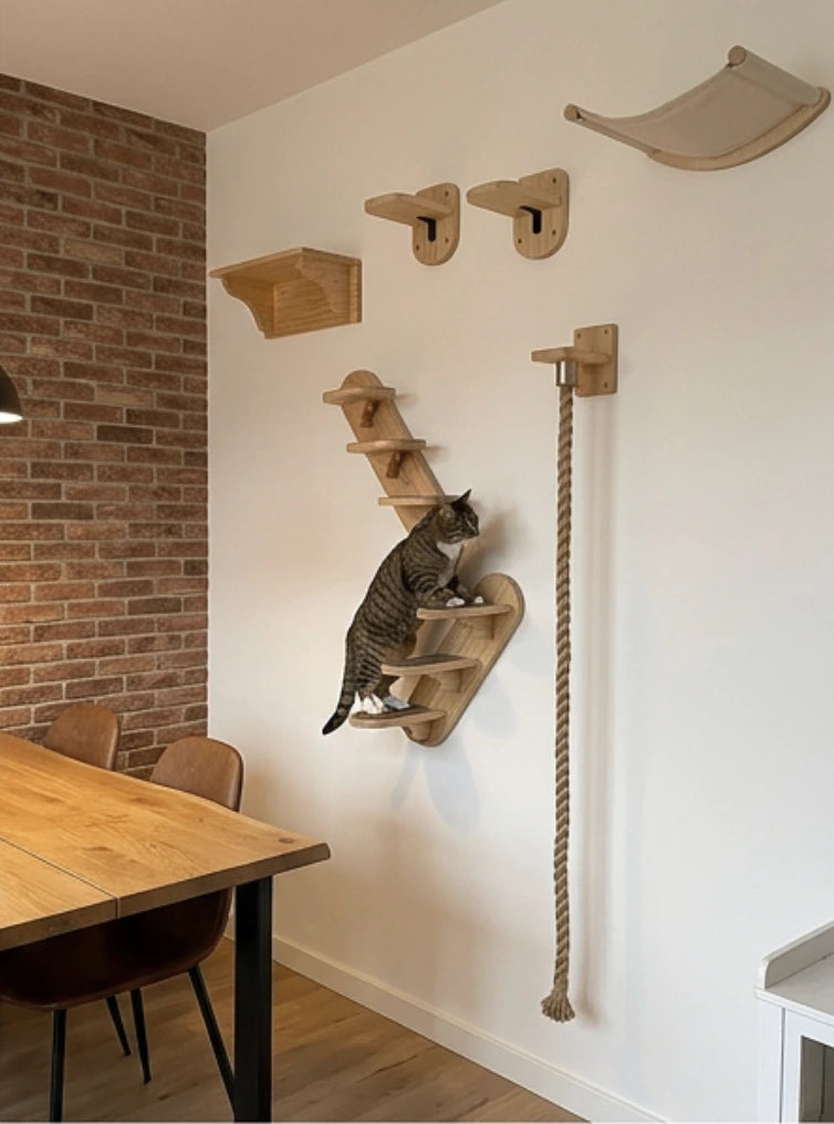 Wandparcours für Katzen an hohen Wänden zum Klettern und Entdecken